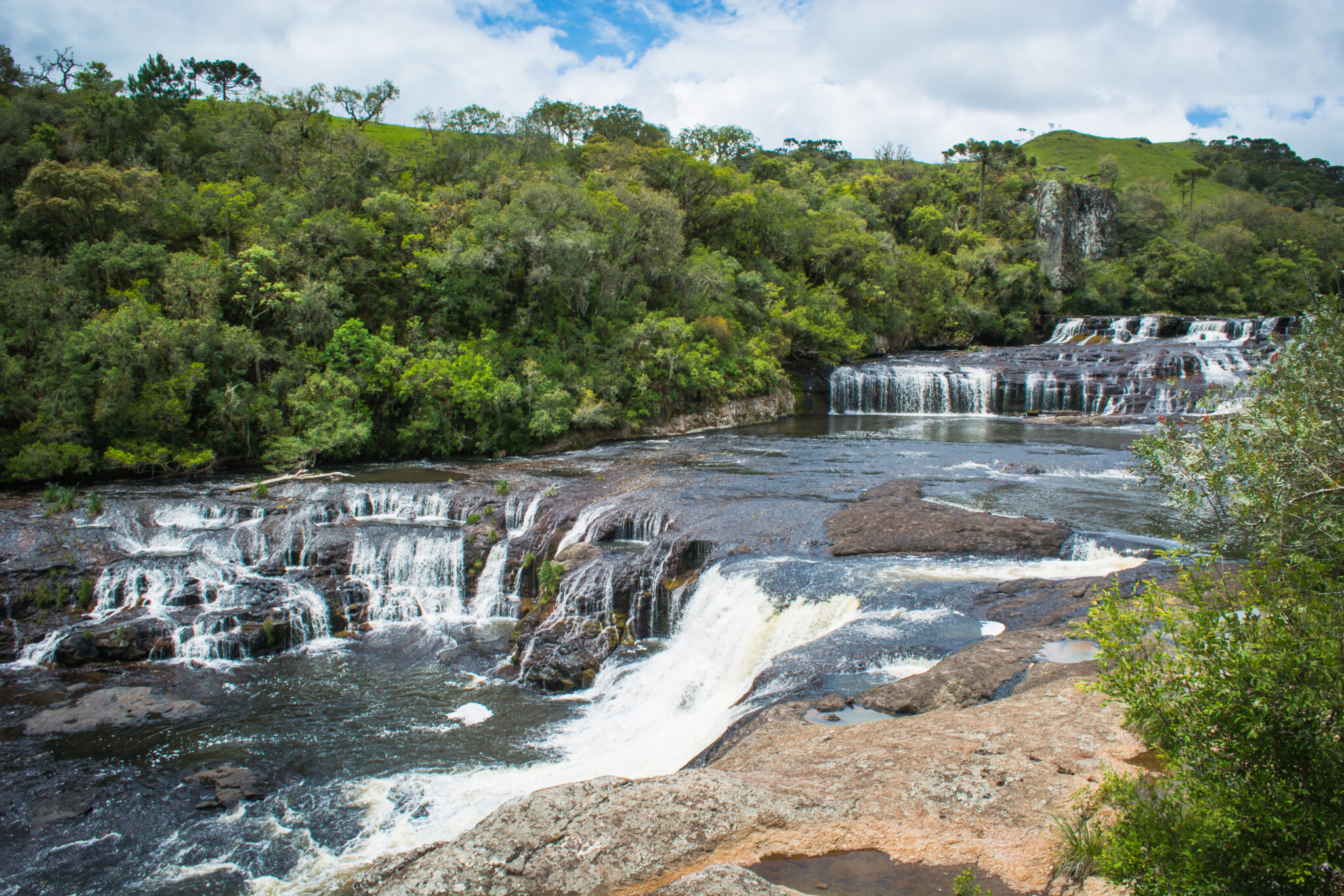 _DSC0159 águas cristalinas da cachoeira despencam em meio a uma exuberante vegetação
